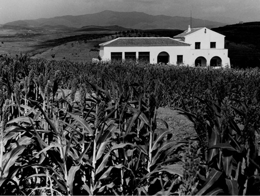 Escuela para hijos de colonos de la zona del Guadalhorce, Málaga (Archivo Histórico del INC MAPA)