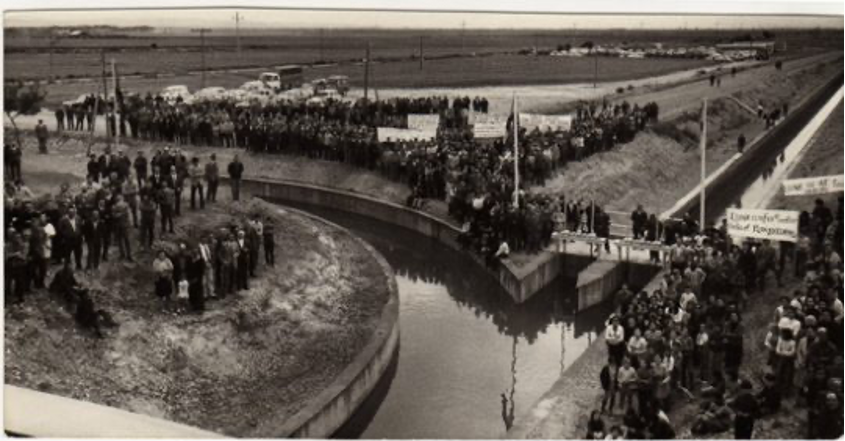 Bardena del Caudillo, 1959 (Archivo FNFF)